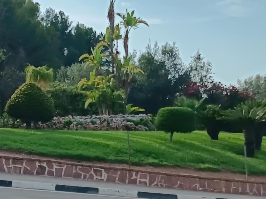 Gilet Senderismo Bici Parking 20 Min Valencia Apartman Kültér fotó